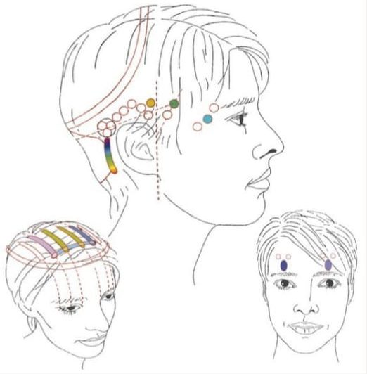 Symbolbild der Punkte von Access Bars an einem gezeichneten Kopf